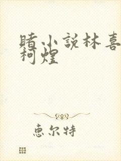 赌小说林喜朝和柯煜