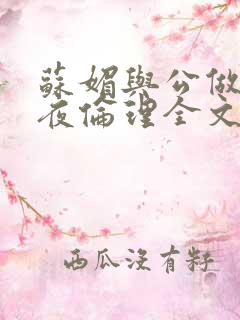 苏媚与公做了一夜伦理全文阅读