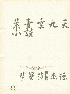 叶青云九天玄宗小说
