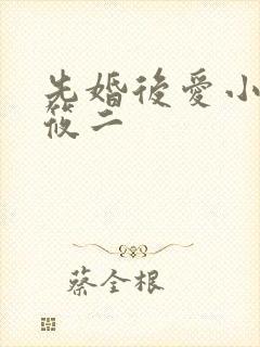 先婚后爱小说梦筱二