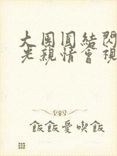 大团圆结闪闪发光亲情会视频