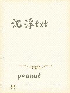 沉浮txt