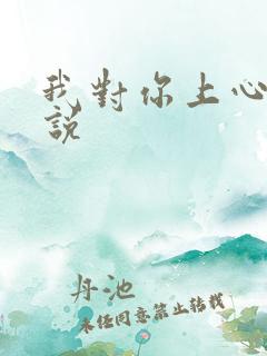 我对你上心了小说