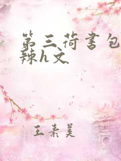 第三荷书包网高辣h文
