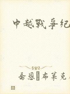 中越战争纪实录