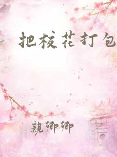 把校花打包带走