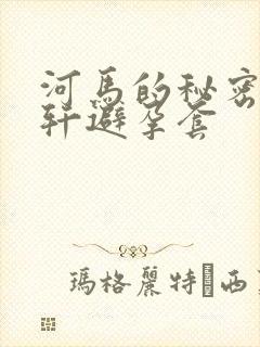 河马的秘密河文轩避孕套