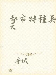 都市特种兵 任天