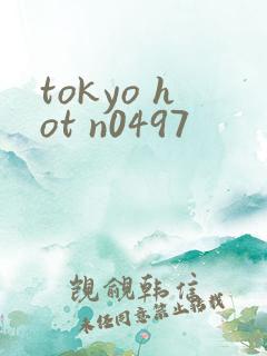 tokyo hot n0497