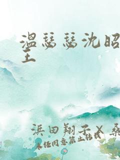 温瑟瑟沈昭摄政王