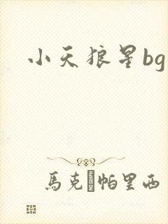 小天狼星bg