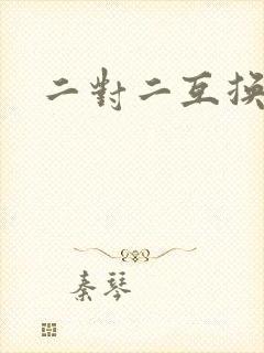 二对二互换共享