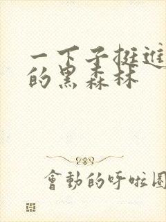 一下子挺进浓密的黑森林