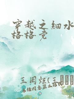 穿越之细水长流格格党