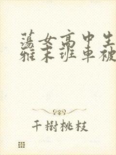 荡女高中生蒋雅雅末班车被吸