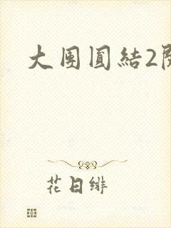 大团圆结2阅读