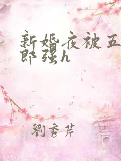 新婚夜被五个伴郎强h