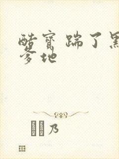 酷宝 踹了黑道爹地