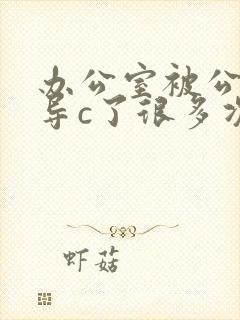 办公室被公司领导c了很多次