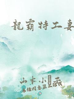 龙霸特工妻