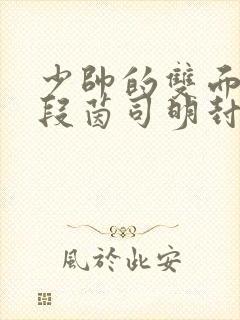 少帅的双面宠妻段茵司明封免费