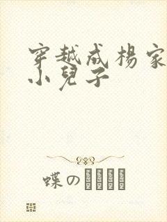 穿越成杨家将最小儿子