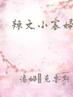 辣文小寡妇