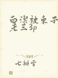 白洁被东子老二老三3p