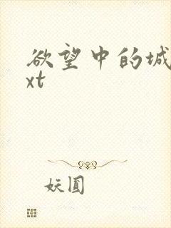 欲望中的城市txt