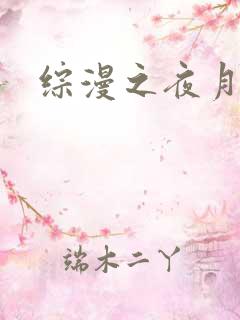 综漫之夜月
