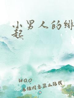 小男人的绯色崛起