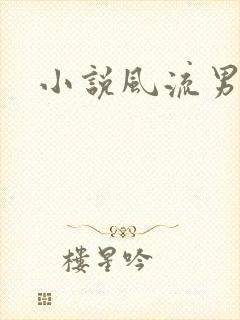 小说风流男护理