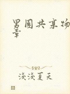 男团共享物第一章