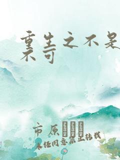 重生之不是非你不可