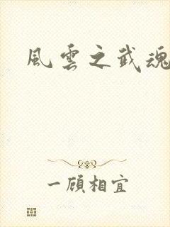 风云之武魂