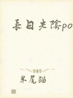 长日光阴po
