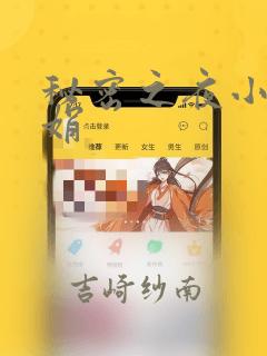 秘密之夜小说小娟：结局+番外