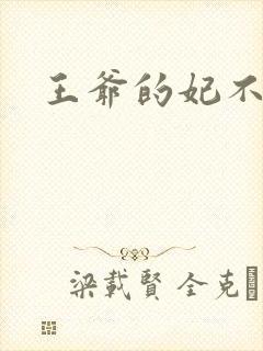 王爷的妃不是妃