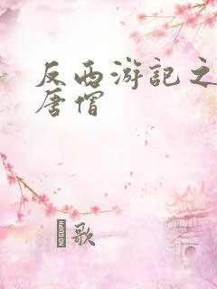 反西游记之混混唐僧