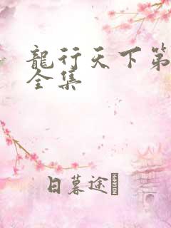 龙行天下第3部全集