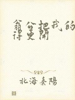 翁公把我的腿分得更开