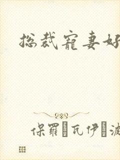 总裁宠妻好欢喜