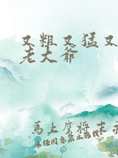 又粗又猛又大爽老大爷