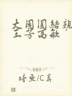 大团圆结亲情会王芳高敏