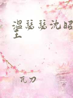 温瑟瑟沈昭摄政王