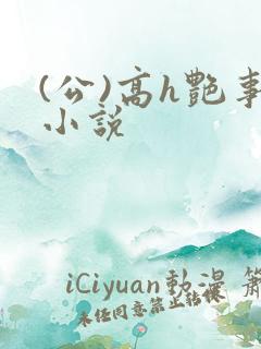 (公)高h艳事小说