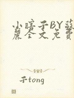 小瞎子BY苏玛丽全文免费笔趣阁