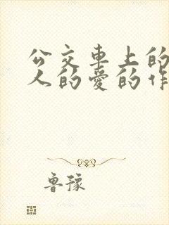 公交车上的陌生人的爱的作文