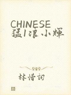 CHINESE猛1浪小辉