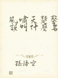 风啸天楚馨月小说叫什么名字